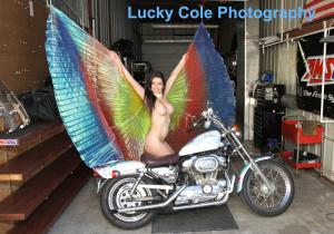 Lucky Cole Butterfly Photography